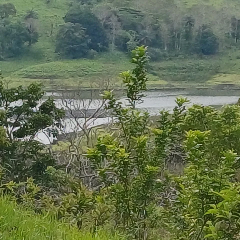 Shades of Gray: Reduced ! Beautiful Lake View Vacation Home on half acre (Additional land available) - Gallery image 11
