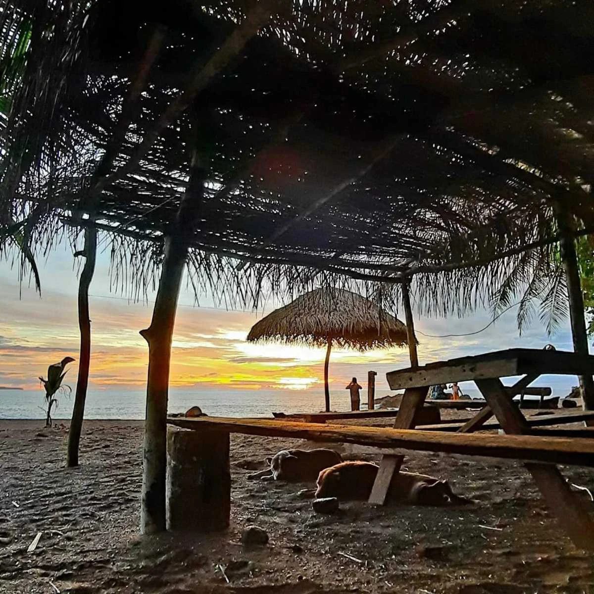 23 Acres of Paradise at Bahia Drake - Gallery image 4