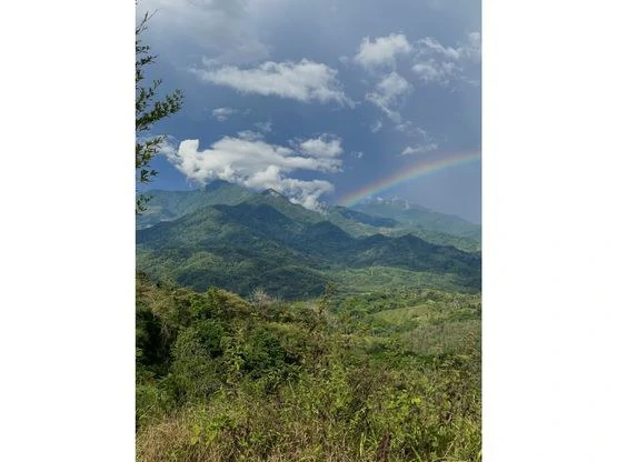 SPECTACULAR ECOLOGICAL MOUNTAIN FARM IN BIJAGUAL DE TURRUBARES - Gallery image 2