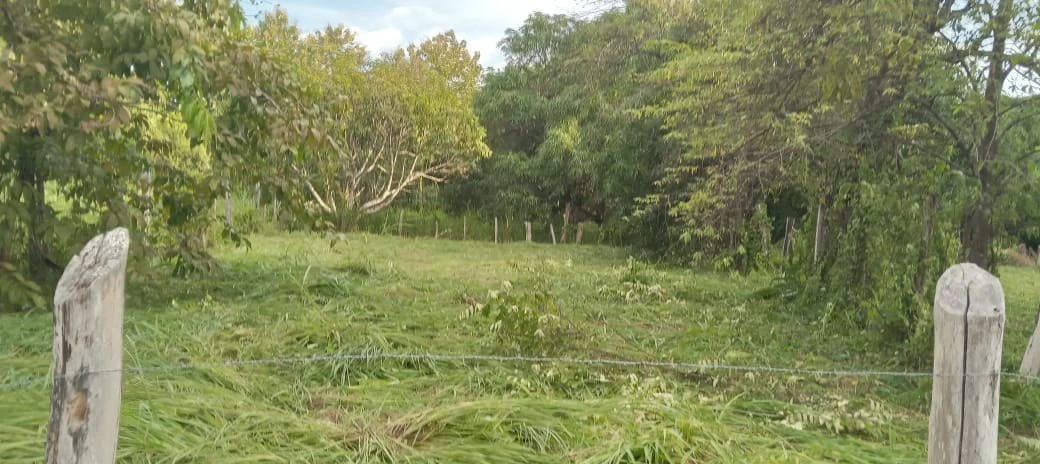 Amazing lot located near Paquera downtown. Now Available! - Gallery image 5