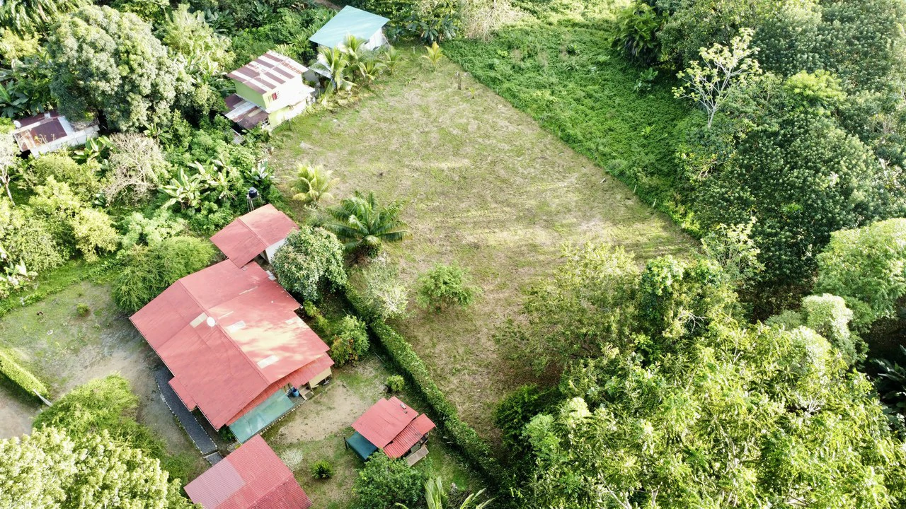 Half-Acre of Usable Land, 3-Minute Walk to National Park Beach!!: Near the Coast Home Construction Site For Sale in Uvita - Gallery image 5