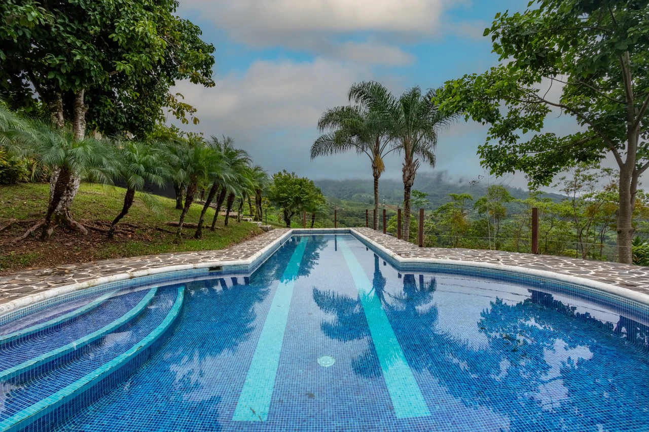 Expansive 27 Acre Farm with Residence in San Isidro del General - Gallery image 50