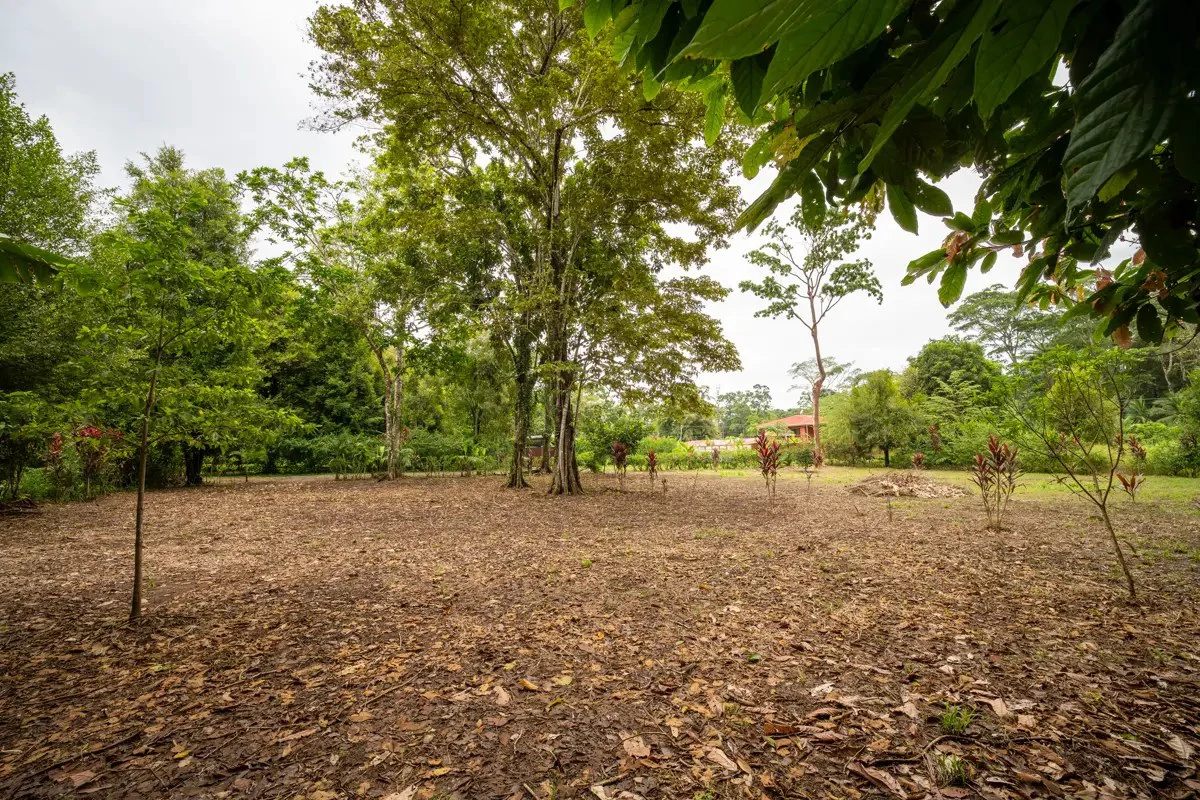 ID 1150: 3000 sqm Titled Land Near Cahuita National Park, Costa Rica - photo 4