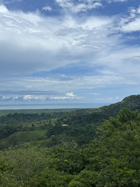 Panoramic 180 Degree Ocean View Lot Ready To Build Close To Ojochal - Gallery image 48