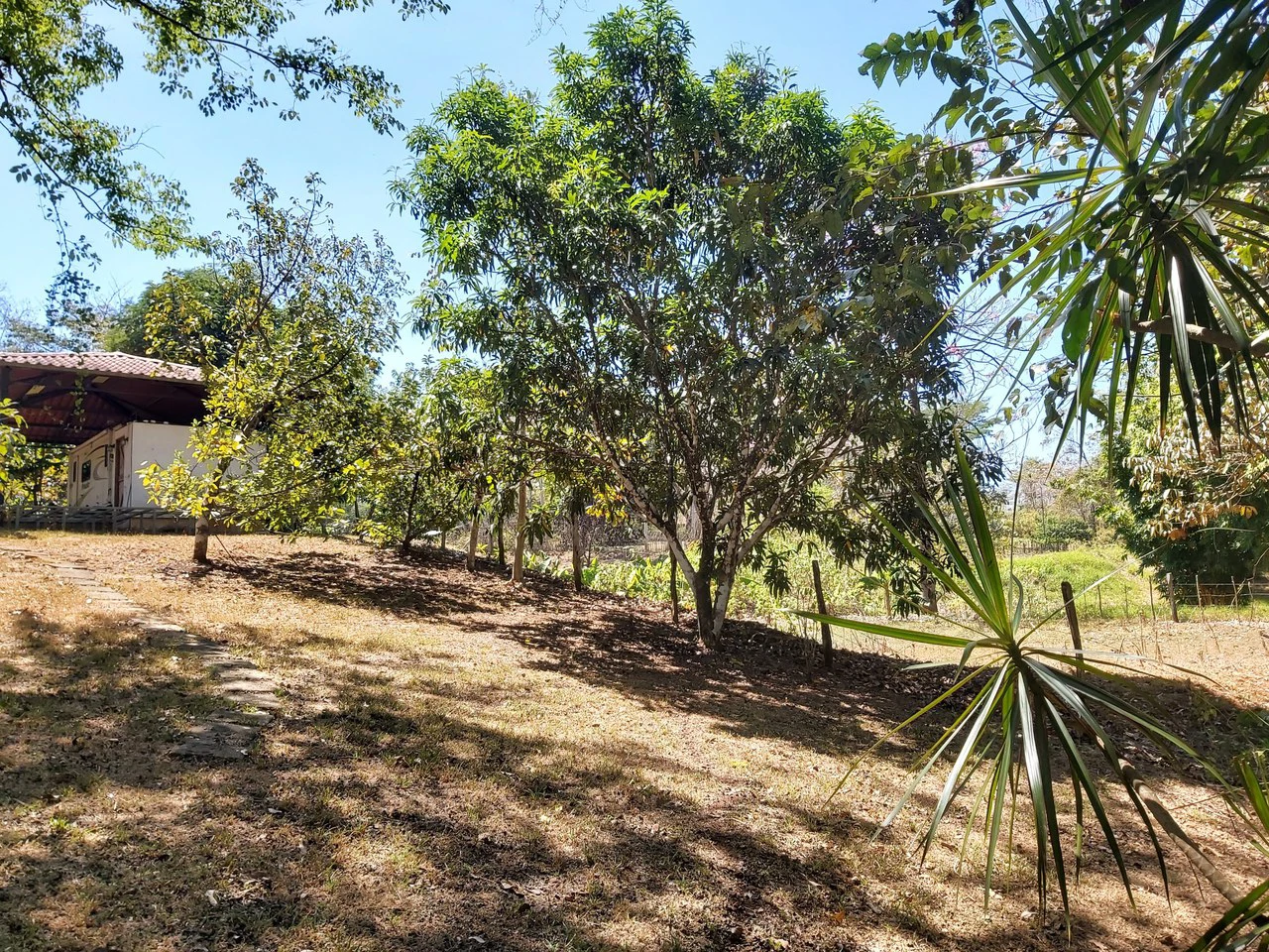Countryside and Mountain Home Construction Site For Sale in San Juan de Mata - Gallery image 24