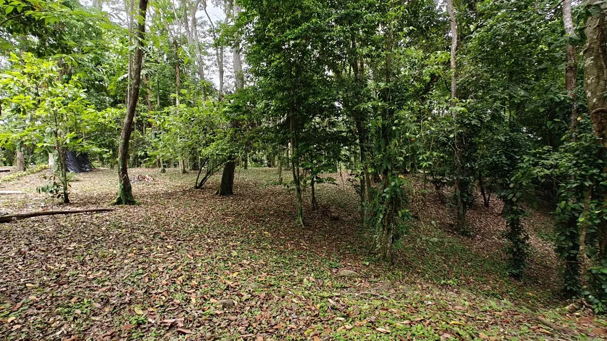 ID 1121: 1,979m² Titled Lot - Last Available Lot in Punta Uva Hills - Near Punta Uva Beach - photo 9