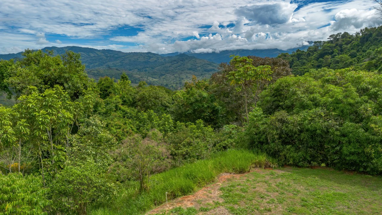 60+ Hectares in Platanillo | Own Your Own Mountain in Costa Rica - Gallery image 15