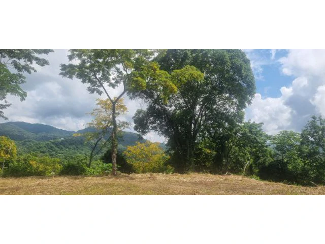 Mountain View property for sale in Samara, stunning 360 nature views land perfect for building - Gallery image 7