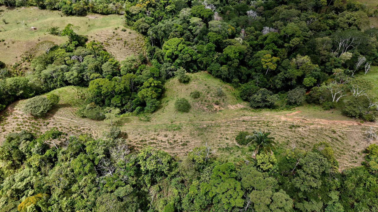 Countryside Home Construction Site For Sale in Centro de Pérez Zeledón - Gallery image 3
