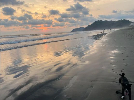 BEACH FRONT HOTEL JACO - Gallery image 37