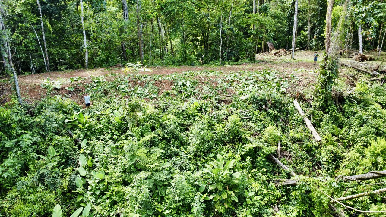 Marvelous Ocean View Parcel in Uvita. - Gallery image 12