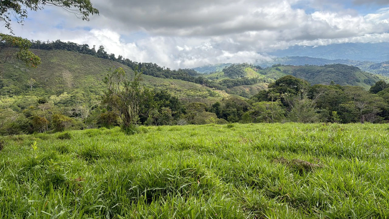 Mountain Agricultural Land For Sale in San Isidro del General - Gallery image 12