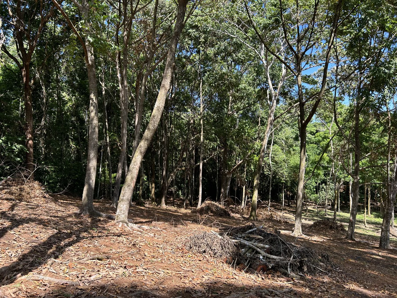 Cabo Matapalo:  3.8 Acre Ocean View Lot In Peninsula De Osa, Golfo Dulce - Gallery image 11