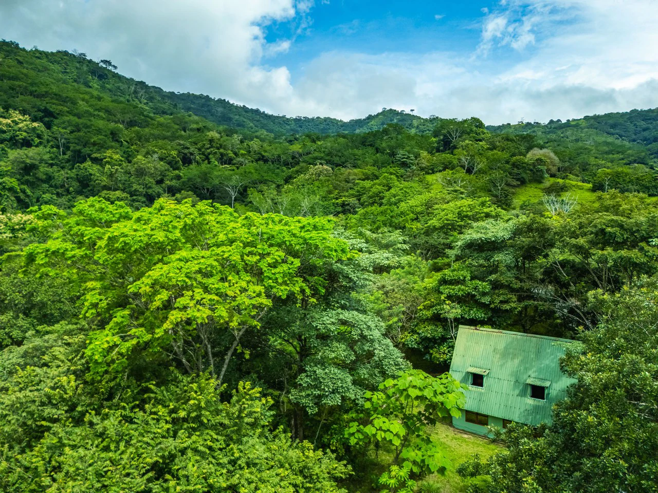 Casa Verde: Your Green Dream
