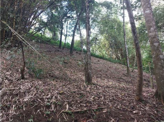 Home Construction Site For Sale in Jacó - Gallery image 4
