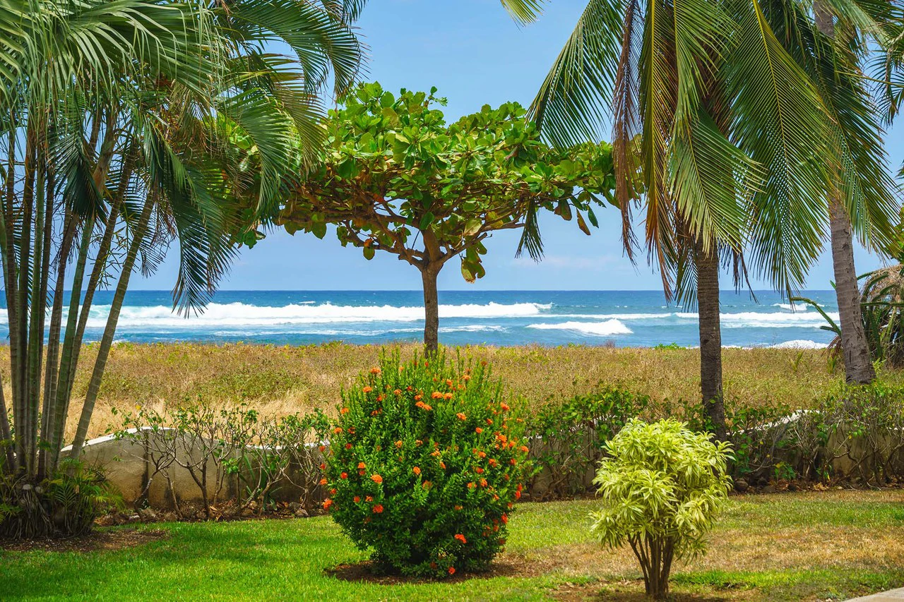 Las Brisas #15: Beachfront Condo With Luxury Upgrades & Unparalleled View - Gallery image 3