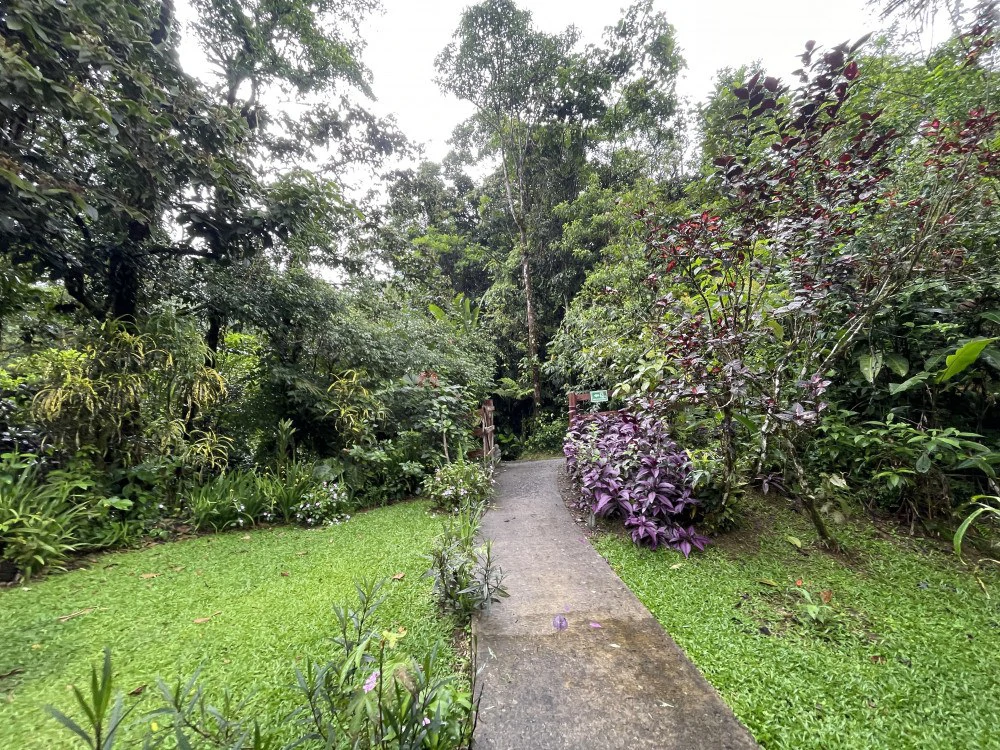 Nuevo arenal: Looking for a Property to Develop Family Residences with Lake Views? - Gallery image 33