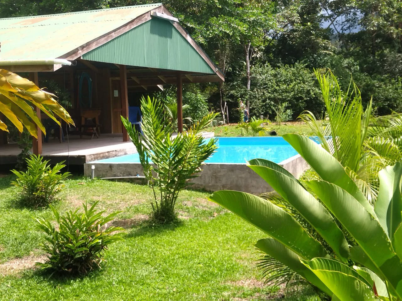 Pristine Business for Sale in Santo Domingos Forest, 3 cabins surrounded by wild nature, Tilapia lake with a dock, and a Restaurant - Gallery image 11