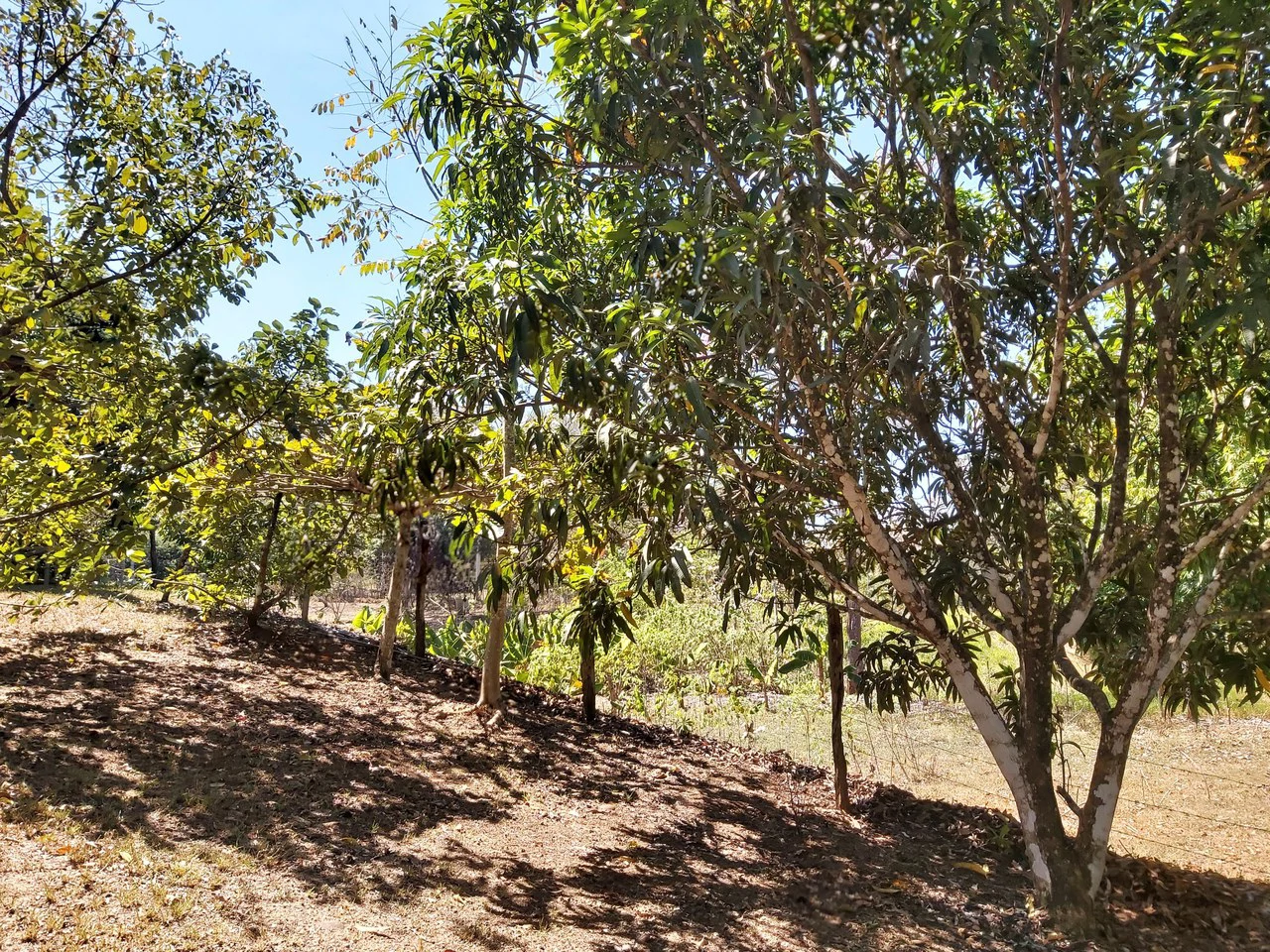 Countryside and Mountain Home Construction Site For Sale in San Juan de Mata - Gallery image 26
