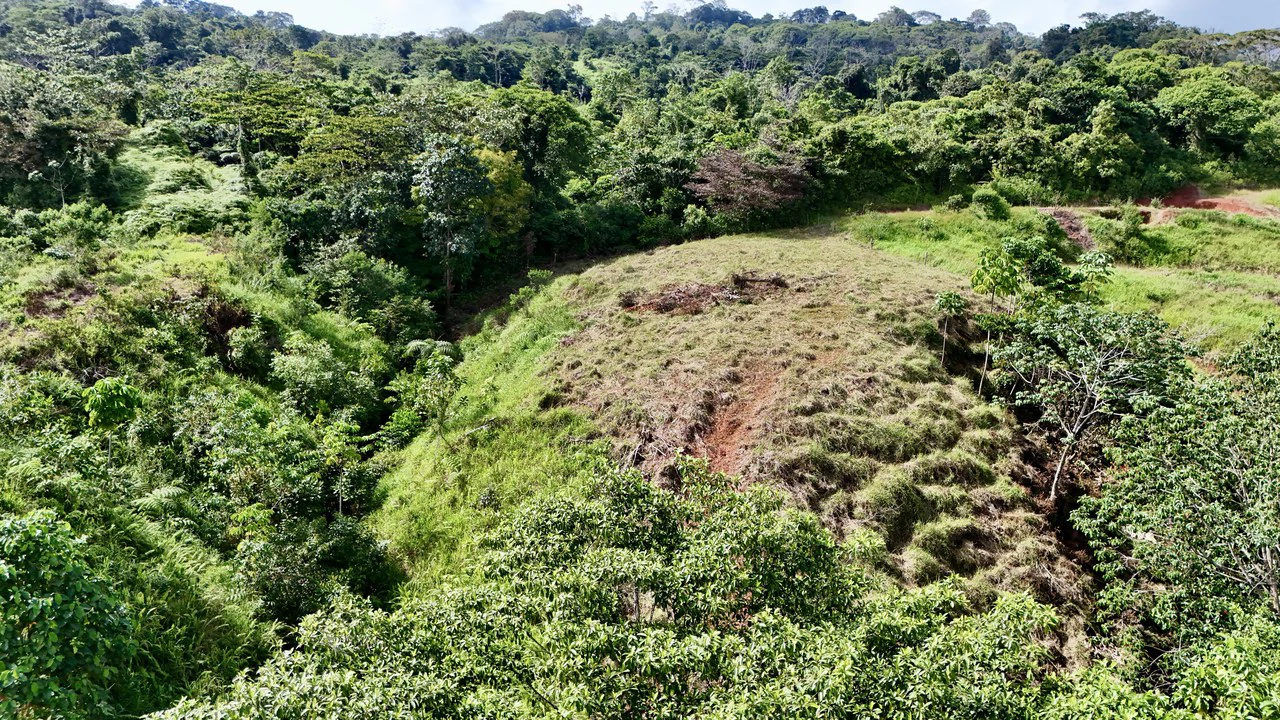 Off-Grid Ocean View Lot | 1.7 Acres in Las Nubes Matapalo Hills - Gallery image 11