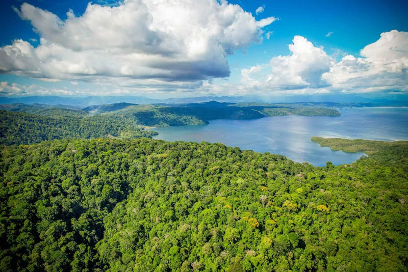 Ocean View & Primary forest 55-ha Rincon de Osa - Gallery image 36