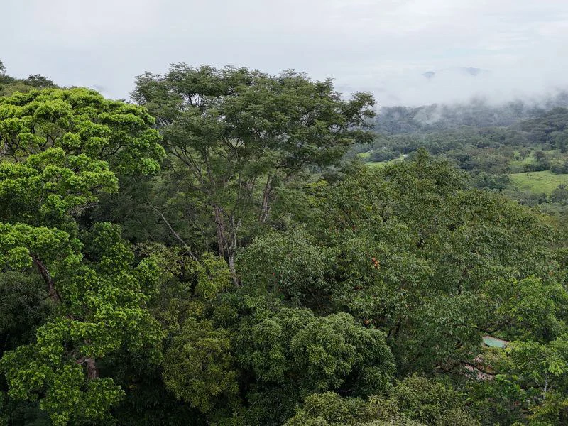 Tropical Paradise with Breathtaking Diamate Waterfall Views - Gallery image 3