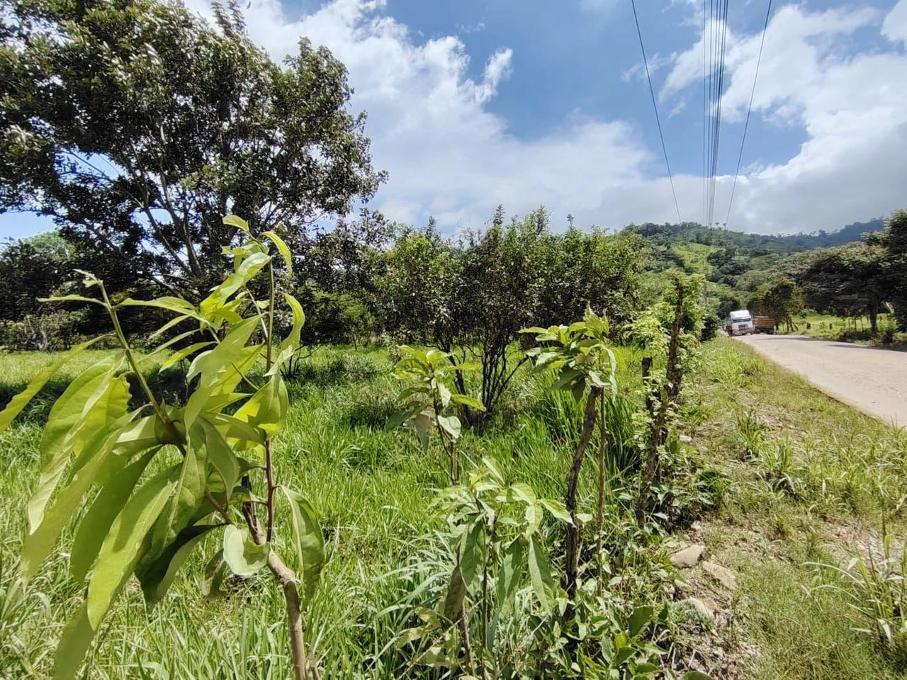 Se vende propiedad en el Rosario Pacuar, Pérez Zeledón.: Countryside Home Construction Site For Sale in Daniel Flores - Gallery image 8
