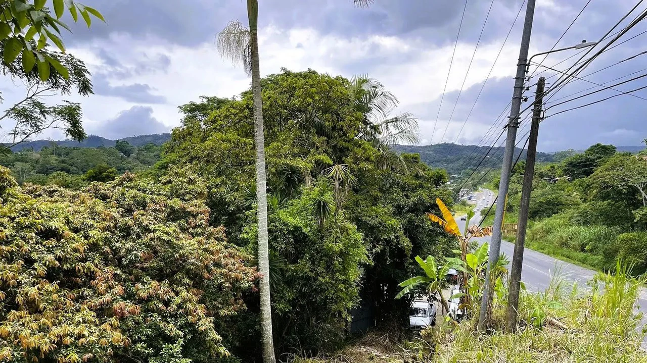 LAND FOR SALE IN SAN MIGUEL, NARANJO - Gallery image 2