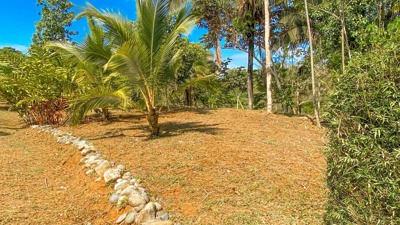 32 Acre Self Sustainable Farm with House Close Ojochal - Gallery image 53