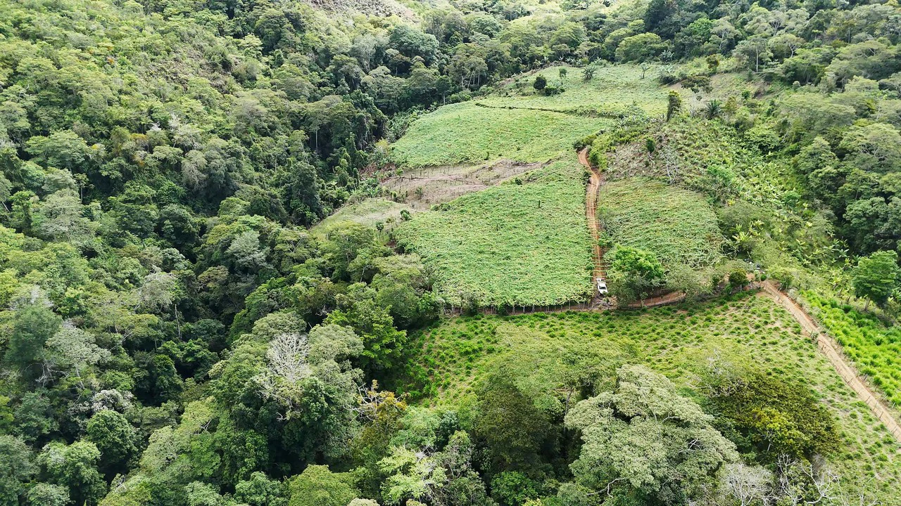 Mountain Agricultural Land For Sale in San Isidro del General - Gallery image 10