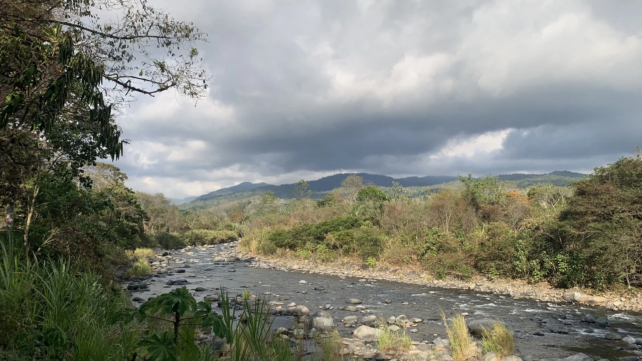 Talari Hotel: Nature and Bird Lover's Paradise - Mountain Lodge - Gallery image 25