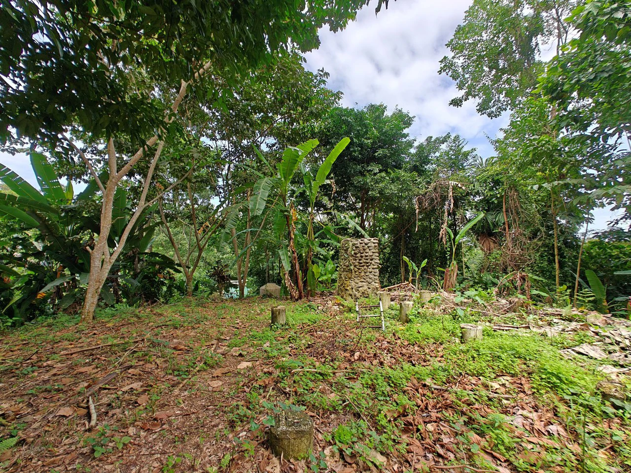 Mountain-Edge Sanctuary with Private Waterfall: 3 Titled Jungle Lots with Platforms, Waterfall, and Income Potential - Gallery image 14