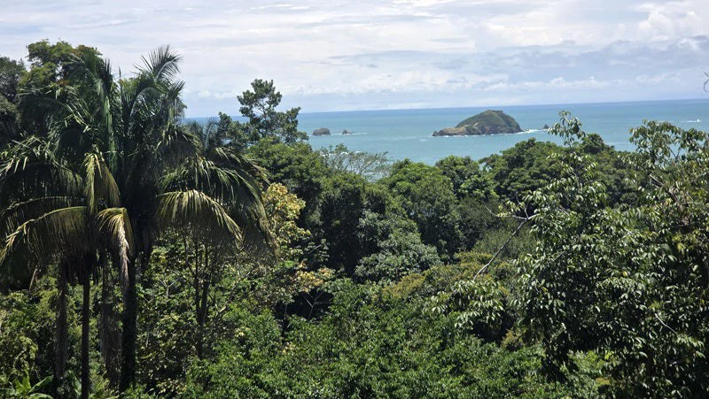 Ocean View Lot in Manuel Antonio Prime Location, Walk to the Beach - Gallery image 5