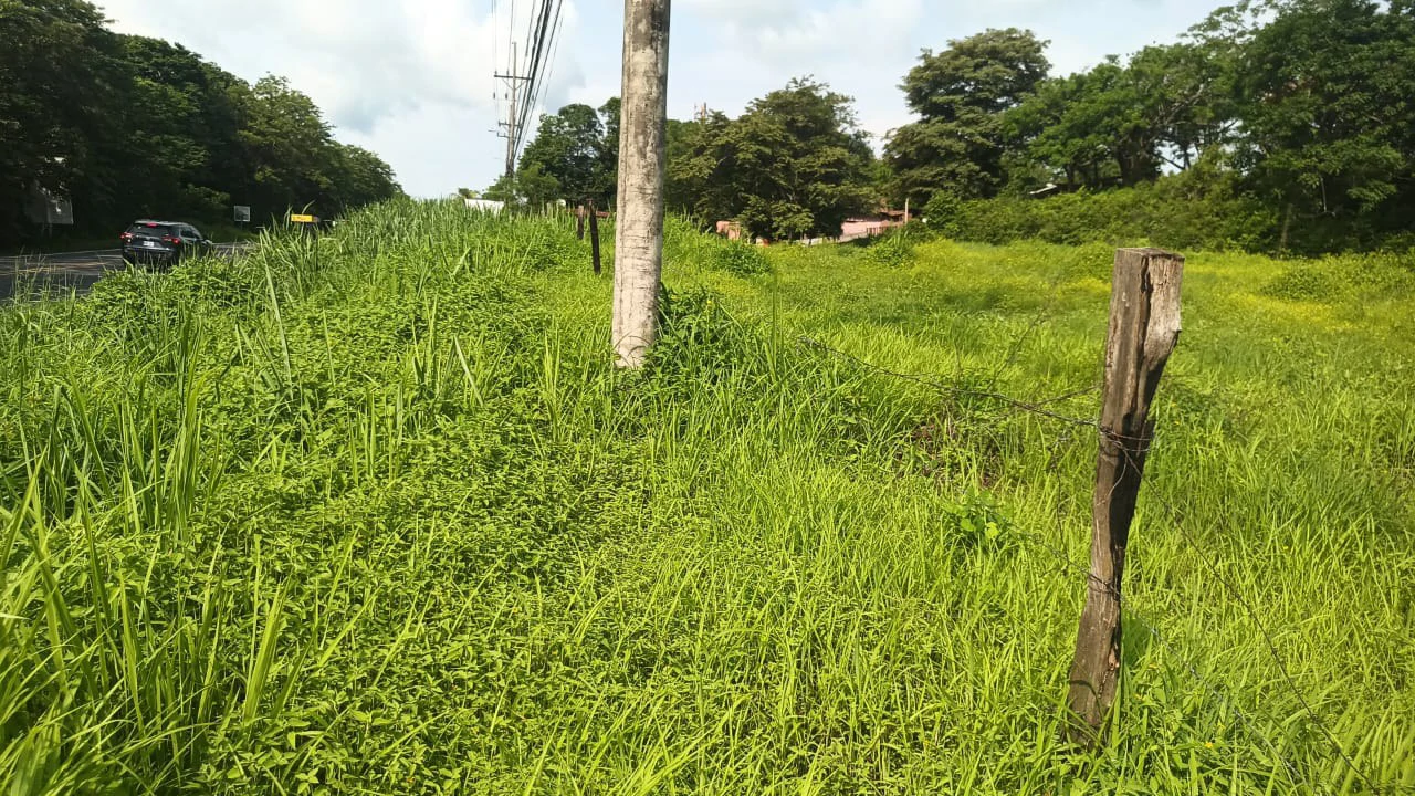 Airport Liberia property with very wide direct frontage on High - Traffic Route 21 to the Beaches - Gallery image 3