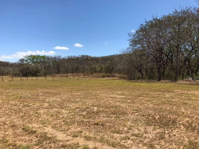 Huge terrain for sale in Guardia close to the International Airport of Liberia - Gallery image 36