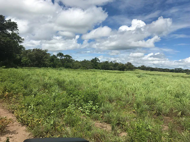 Large Development Land for Sale in Liberia, Guanacaste, Costa Rica - Gallery image 9