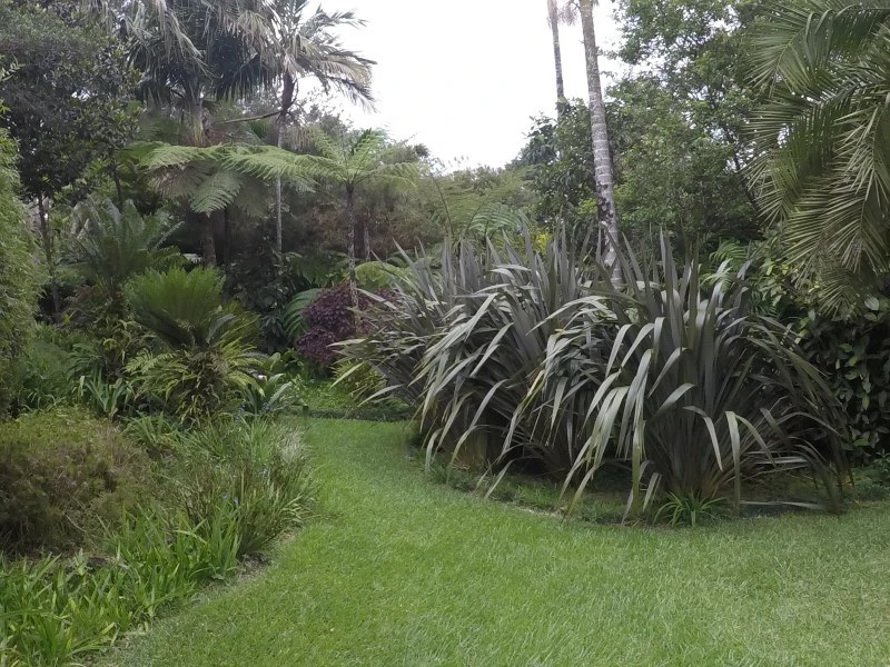 TROPICAL FOREST DREAM 15 min from downtown SJ - Gallery image 10