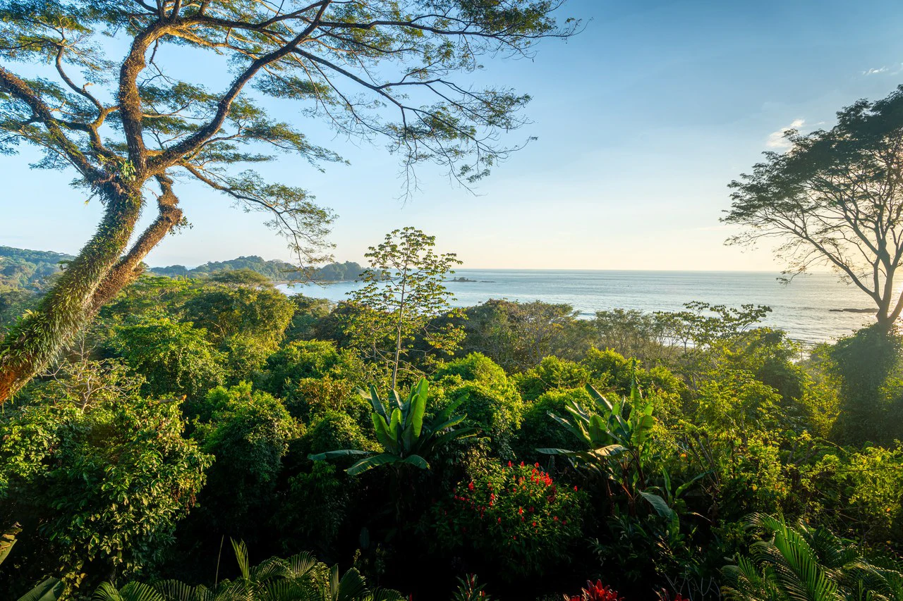 Canto Del Mar, Villa 3, Front Ridge Full Sunset Ocean and Jungle Views!: Mountain Villa For Sale in Dominicalito - Gallery image 65