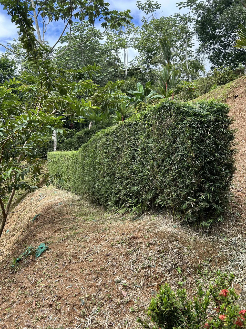 Playa Hermosa: Two Locations to Build, Permits Ready - Gallery image 61