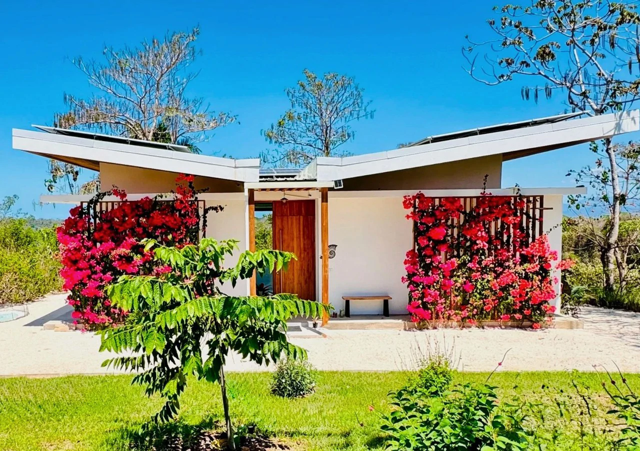 The Ark: $1,390,000 USD Luxury Jungle Estate with Guest House in The Ark Community, Santa Teresa Costa Rica - Gallery image 61