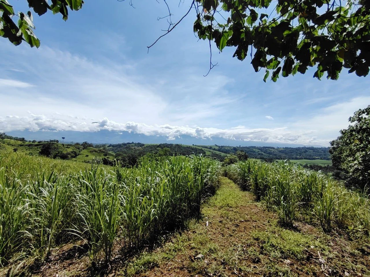 SE VENDE PROPIEDAD EN CAJÓN, COSTA RICA.: Mountain Home Construction Site For Sale in Cajón