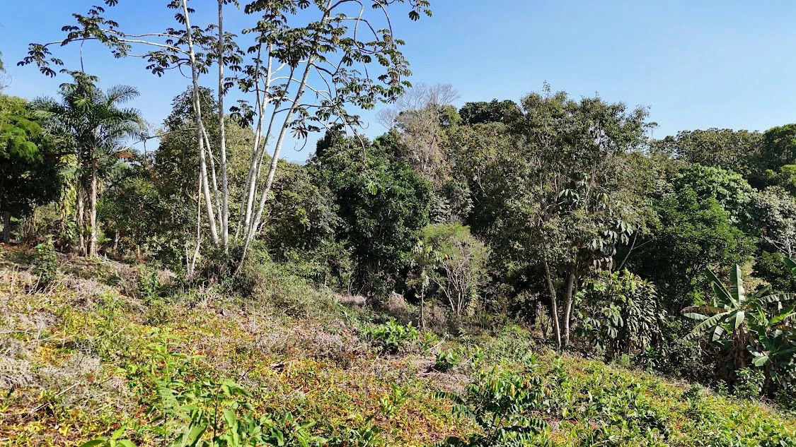 Home Construction Site For Sale in La Ceniza - Gallery image 18