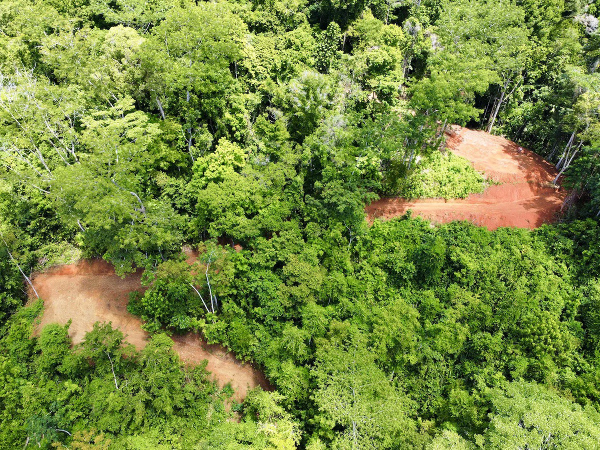 Spectacular Coastal Rainforest Estate Property - Gallery image 15