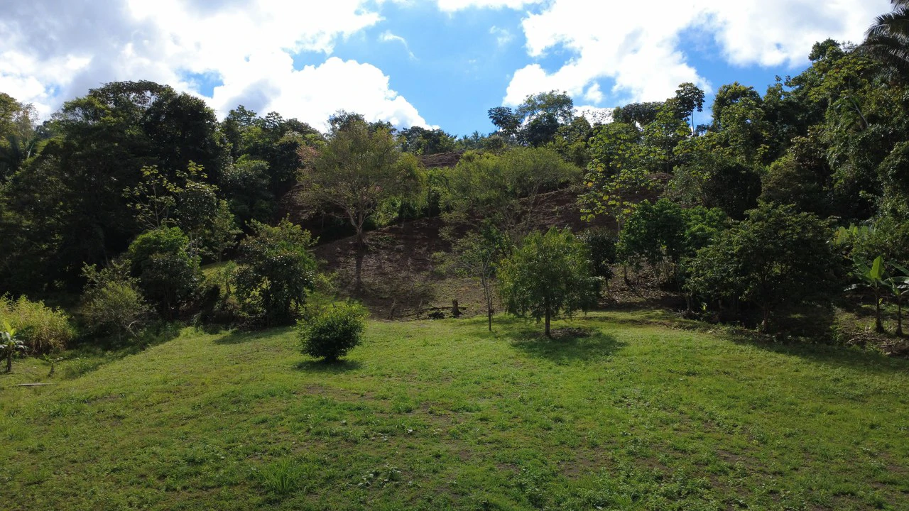 SUSTAINABLE PROPERTY FOR SALE IN THE PRIVACY OF PÉREZ ZELEDÓN, ROSARIO DE PACUAR - Gallery image 8