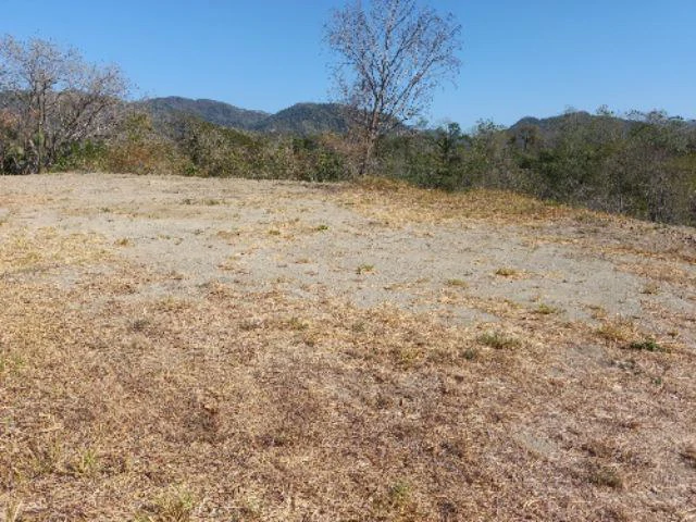 Building Lots for sale in a pristine and peacefull woodland 3 km from Samara Beach - Gallery image 2