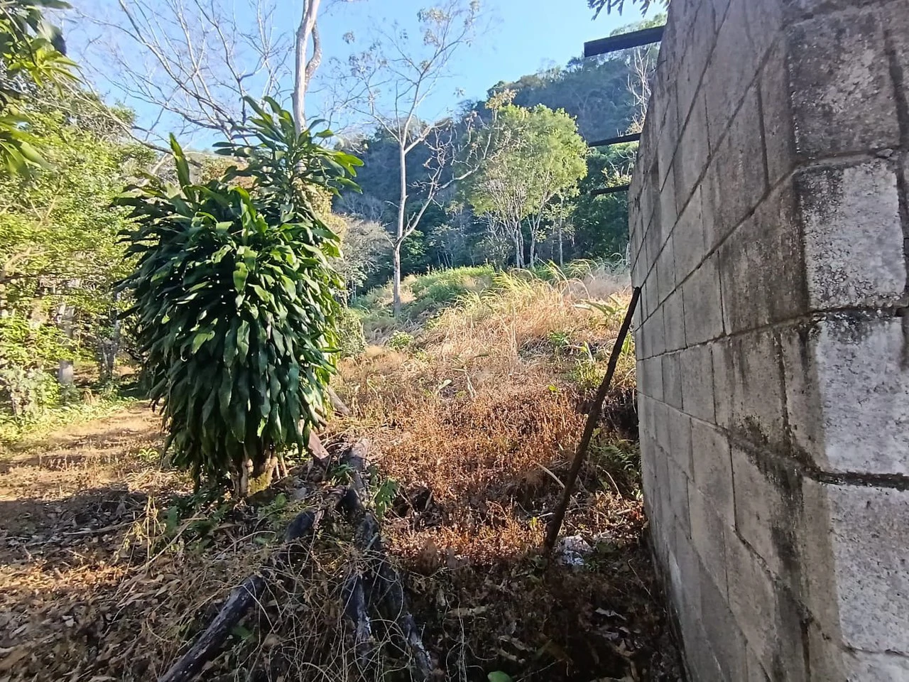 Property for sale in Ciudad Colon San José Costa Rica - Gallery image 9