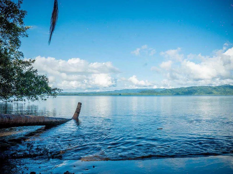 Bahía Chal Gulf View Close to Puerto Jimenez - Gallery image 20
