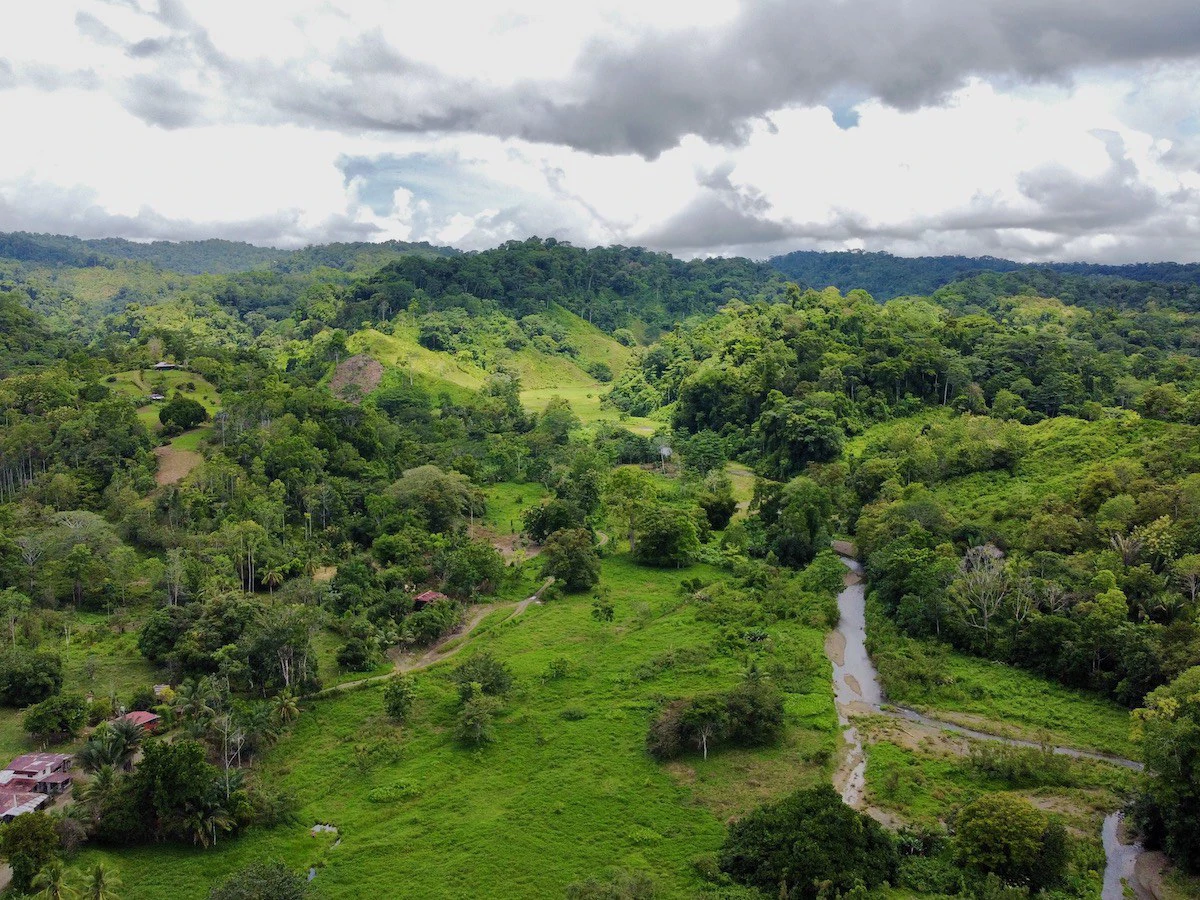 Jungle View Property in Osa Peninsula