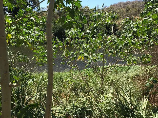 Huge terrain for sale in Guardia close to the International Airport of Liberia - Gallery image 18