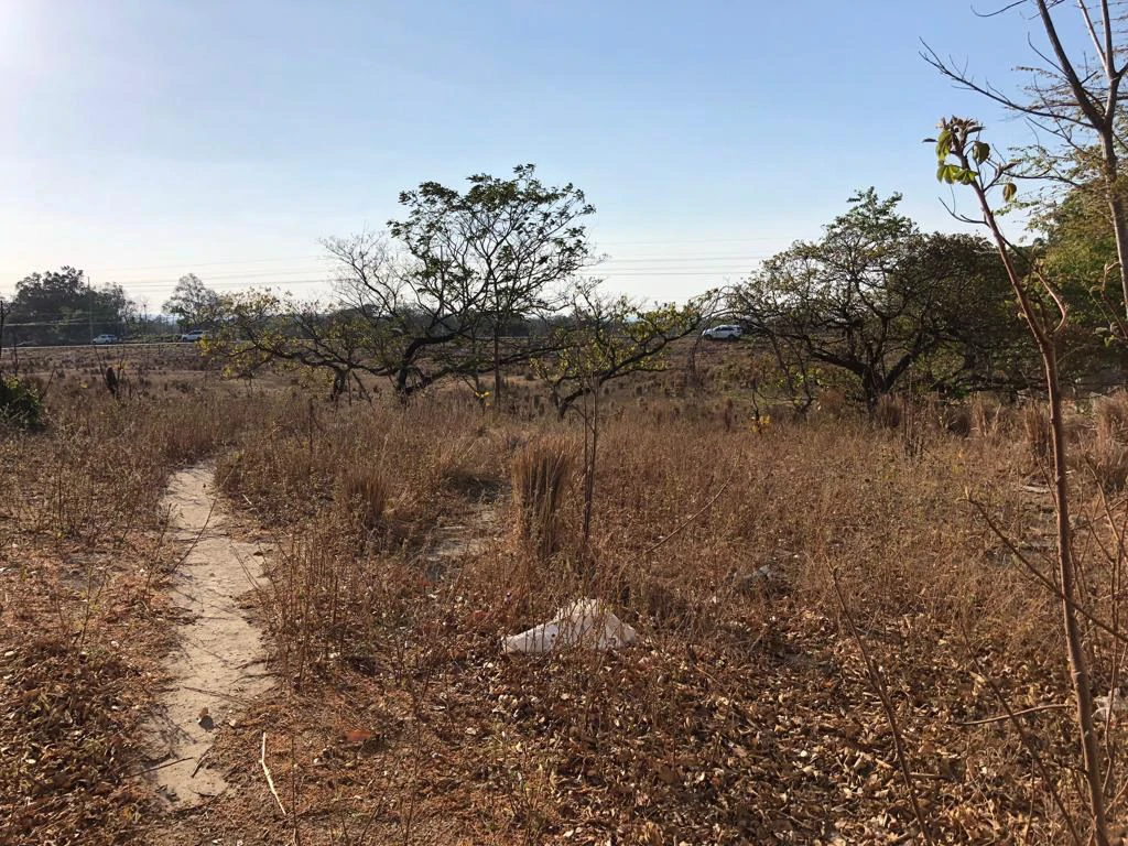 Airport Property - in front of route 21, Liberia - Gallery image 11